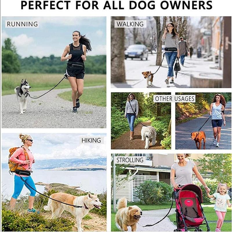 Hands Free Dog Leash Pet Walking And Training Belt With Shock Absorbing Bungee Leash For Up To 180lbs Large Dogs Phone Pocket And Water Bottle Holder.