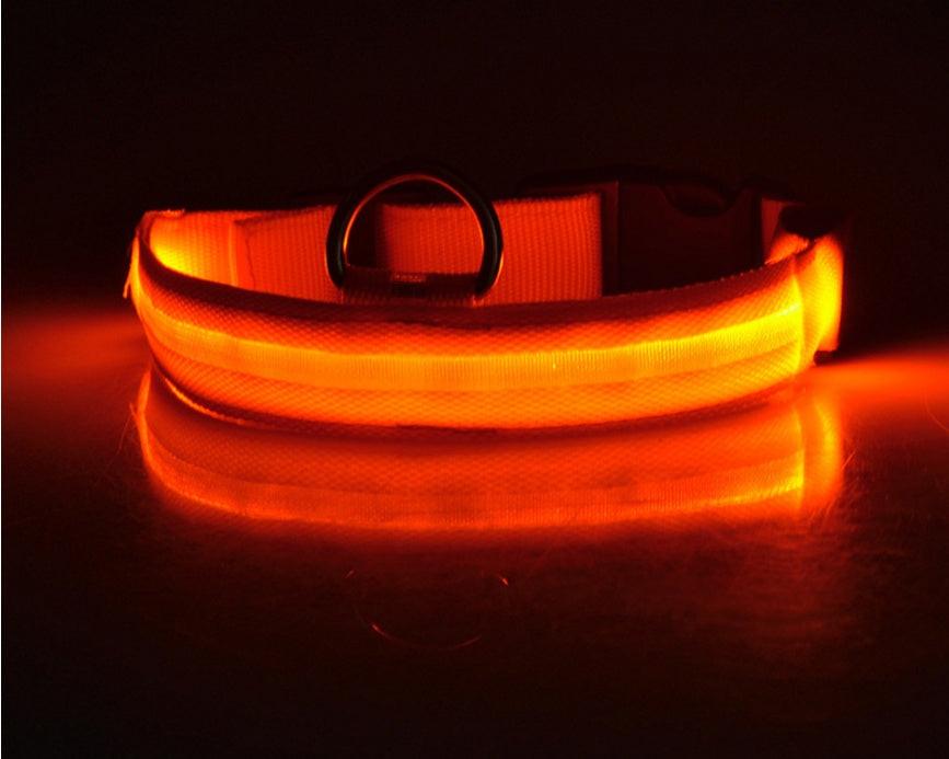 Nylon LED Pet Dog Luminous Collar Night Safety Flashing Glow in Dark Dog Cat Leash Adjustable Pet Supplies.