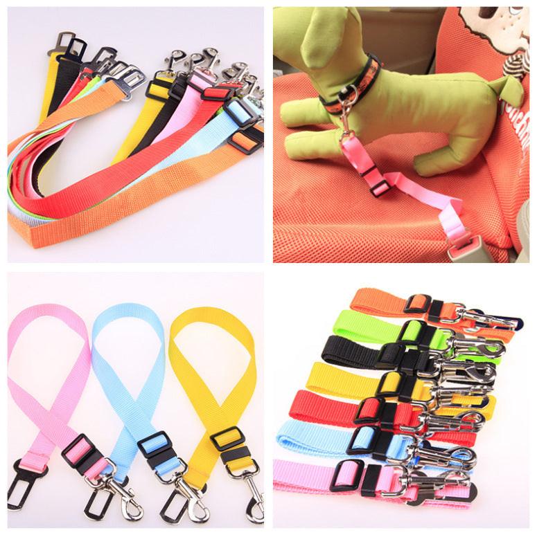 Fixed Strap Polyester Dog Strap Dog Leash Dog Leash.