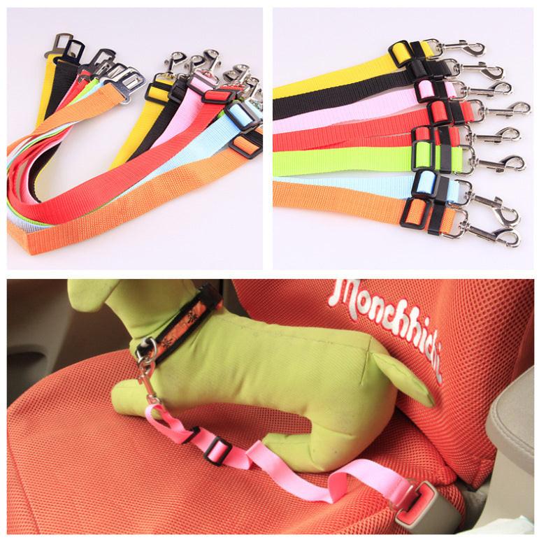 Fixed Strap Polyester Dog Strap Dog Leash Dog Leash.