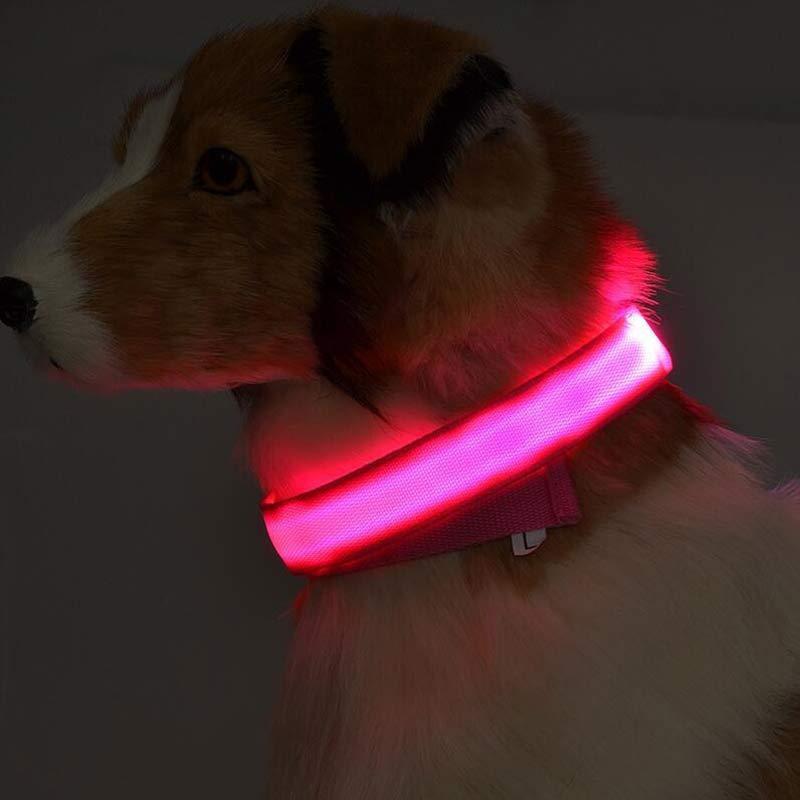 Nylon LED Pet Dog Luminous Collar Night Safety Flashing Glow in Dark Dog Cat Leash Adjustable Pet Supplies.
