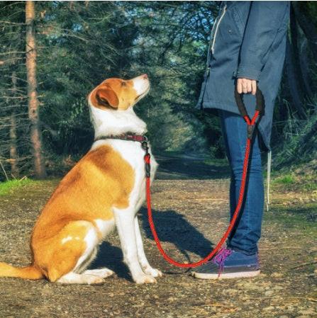 Reflective Dog Leash Nylon Pet Dog Leash Rope For Small Medium Large Dogs Walking Training Pet Suppiles.