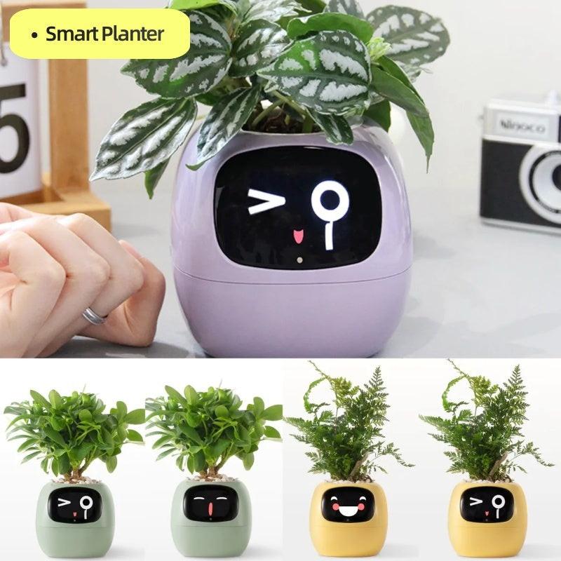Smart Planter Endless Fun Over 49 Rich Expressions 7 Smart Sensors And AI Chips Make Raising Plants Easy And Fun.