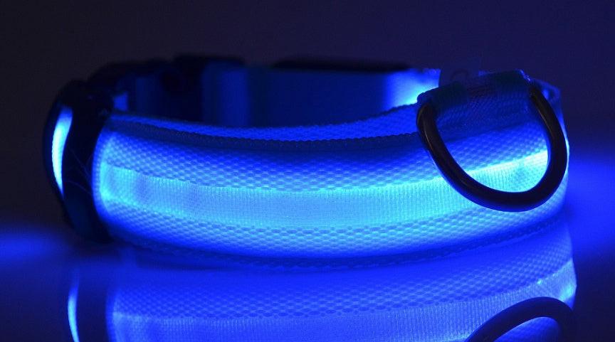 Nylon LED Pet Dog Luminous Collar Night Safety Flashing Glow in Dark Dog Cat Leash Adjustable Pet Supplies.