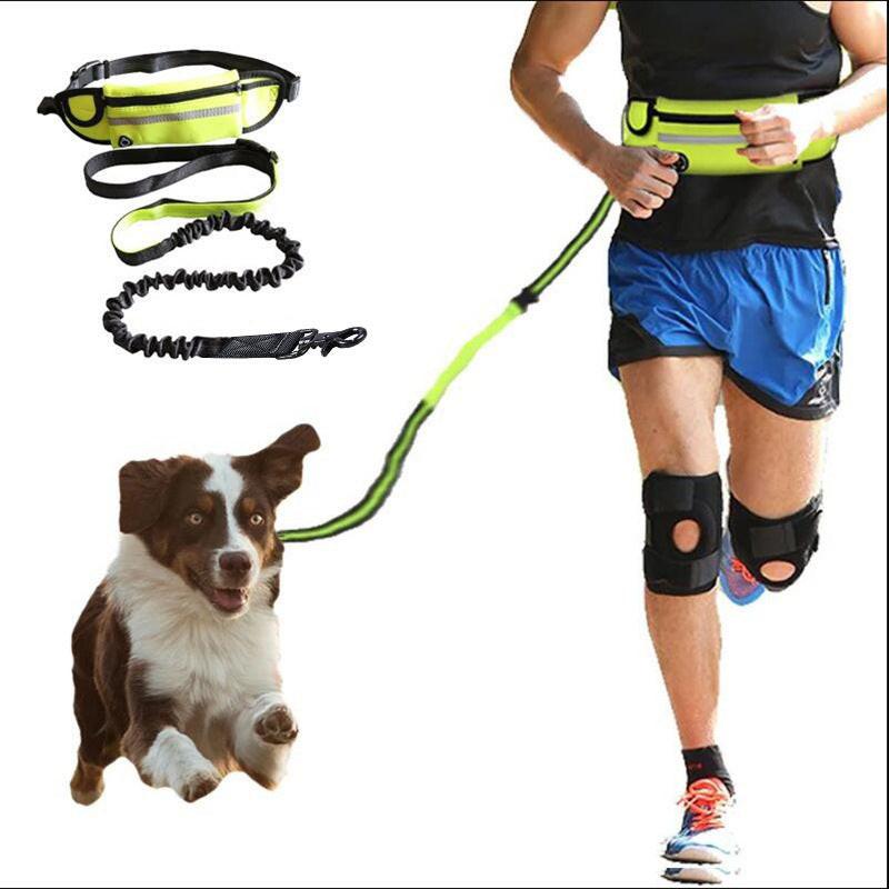 Hands Free Dog Leash Pet Walking And Training Belt With Shock Absorbing Bungee Leash For Up To 180lbs Large Dogs Phone Pocket And Water Bottle Holder.