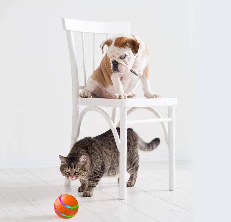 Pet New Cat Wicked Ball Toy Intelligent Ball USB Cat Toys Self Rotating Ball Automatic Rotation Ball.