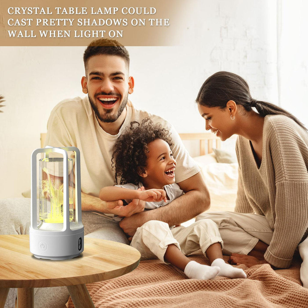 Creative 2 In 1 Audio Acrylic Crystal Lamp And Bluetooth Speaker Valentine's Day Gift Touch Night Lamp.