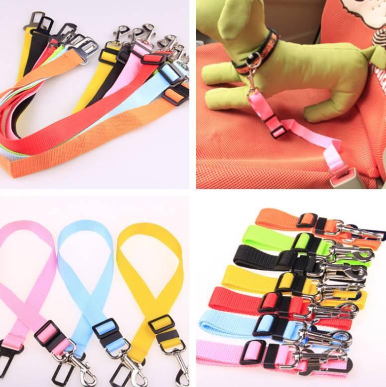 Fixed Strap Polyester Dog Strap Dog Leash Dog Leash.