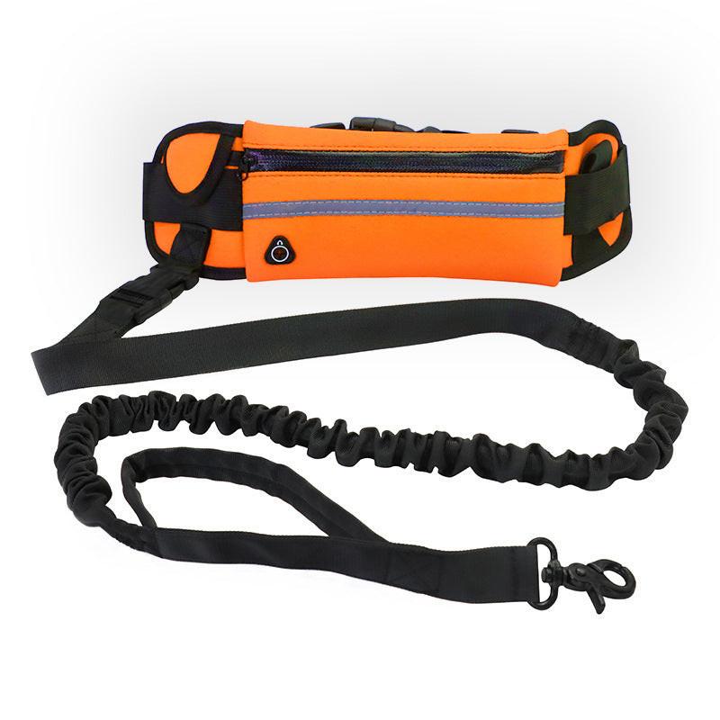 Hands Free Dog Leash Pet Walking And Training Belt With Shock Absorbing Bungee Leash For Up To 180lbs Large Dogs Phone Pocket And Water Bottle Holder.